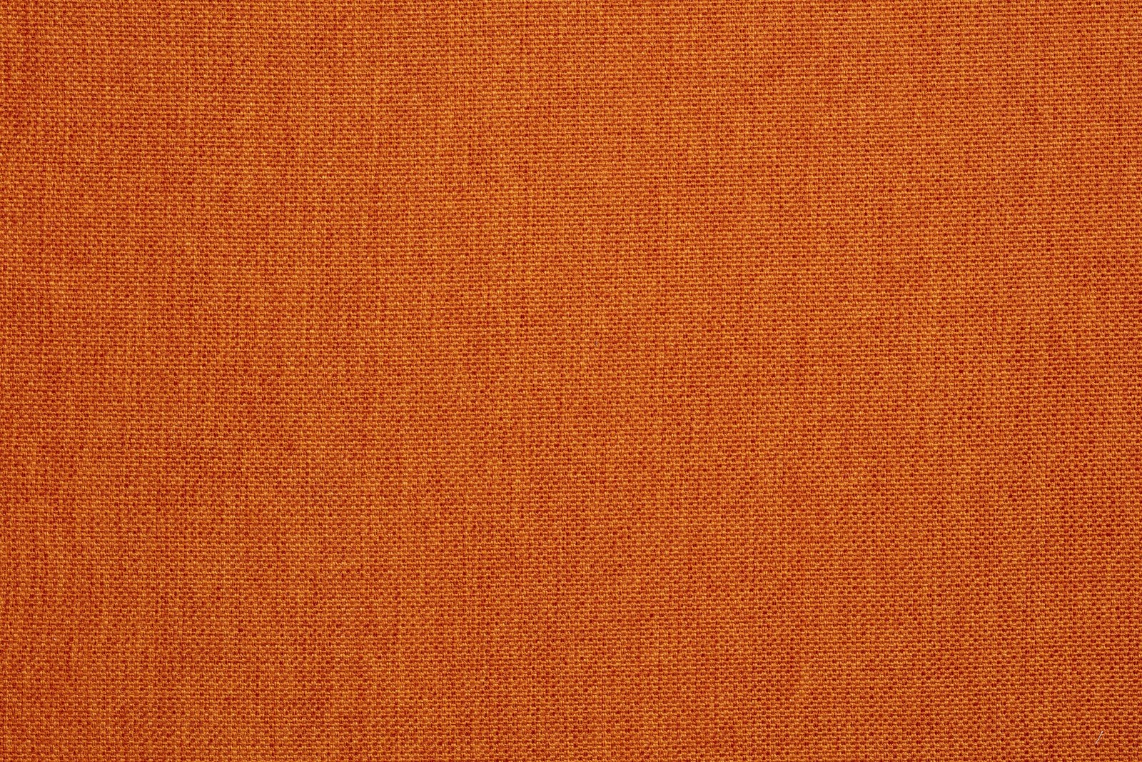 Bellini