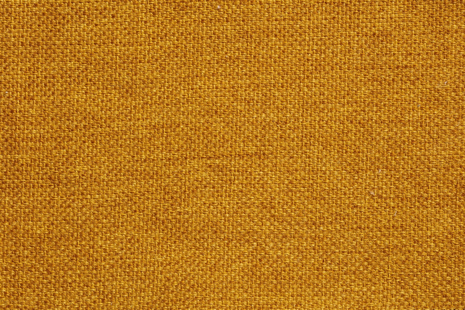 Bellini