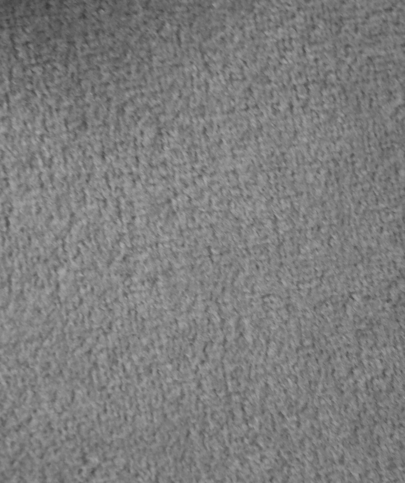 Gris souris