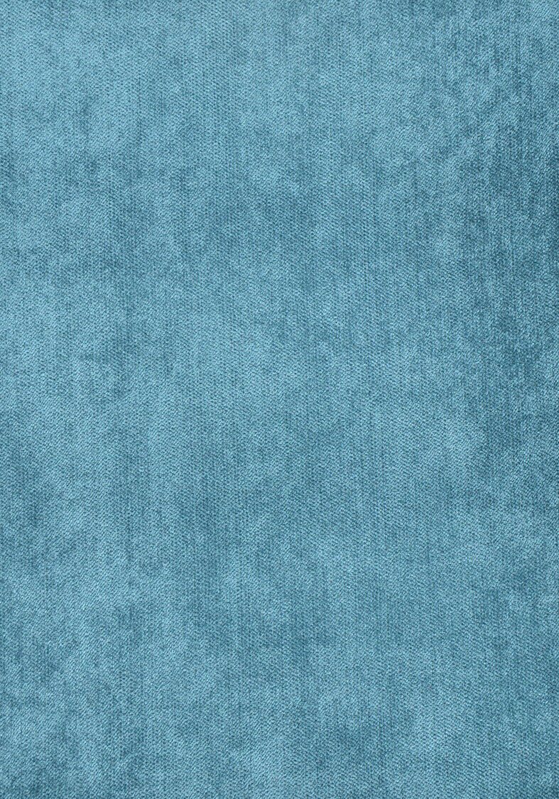 Bleu canard