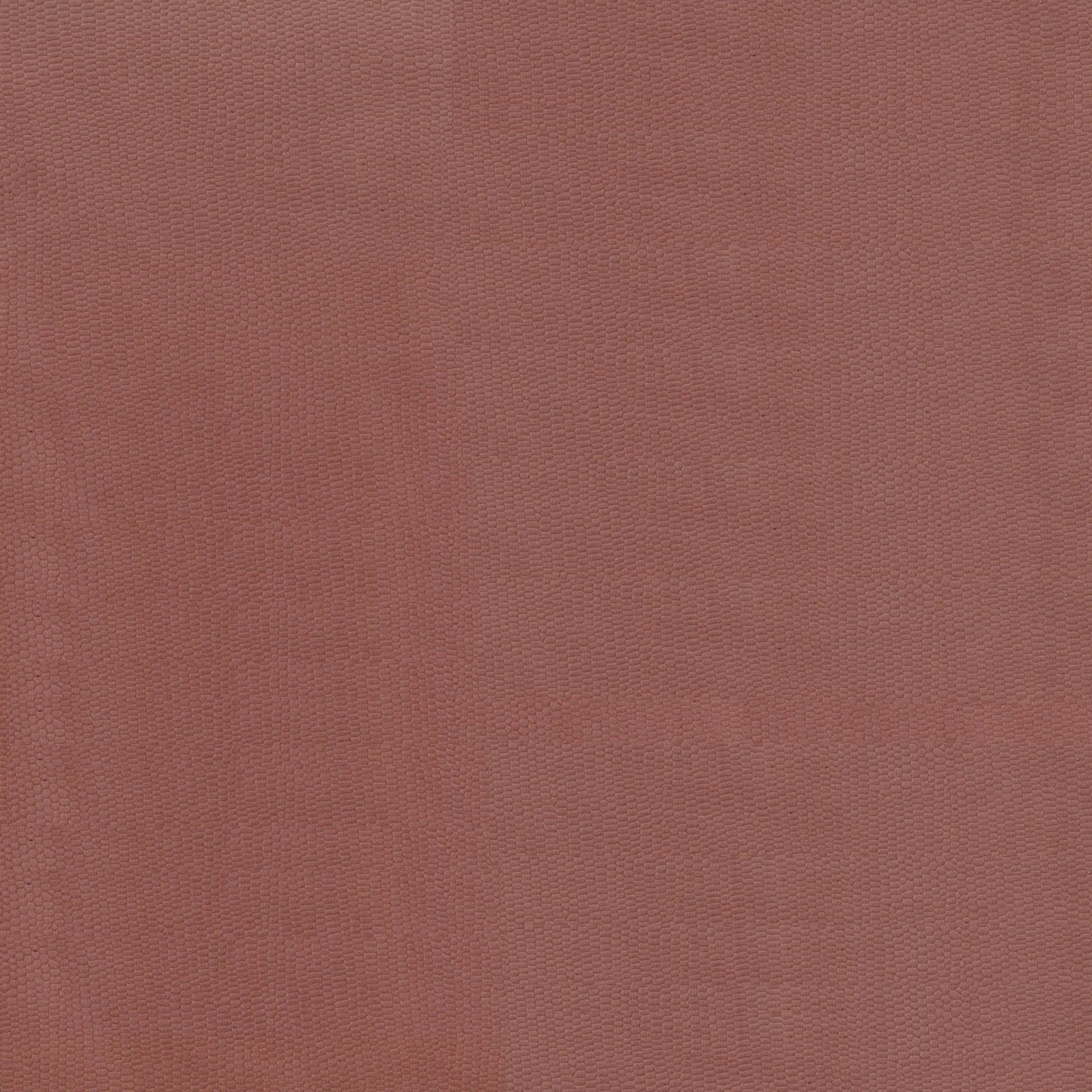 Rose ancien