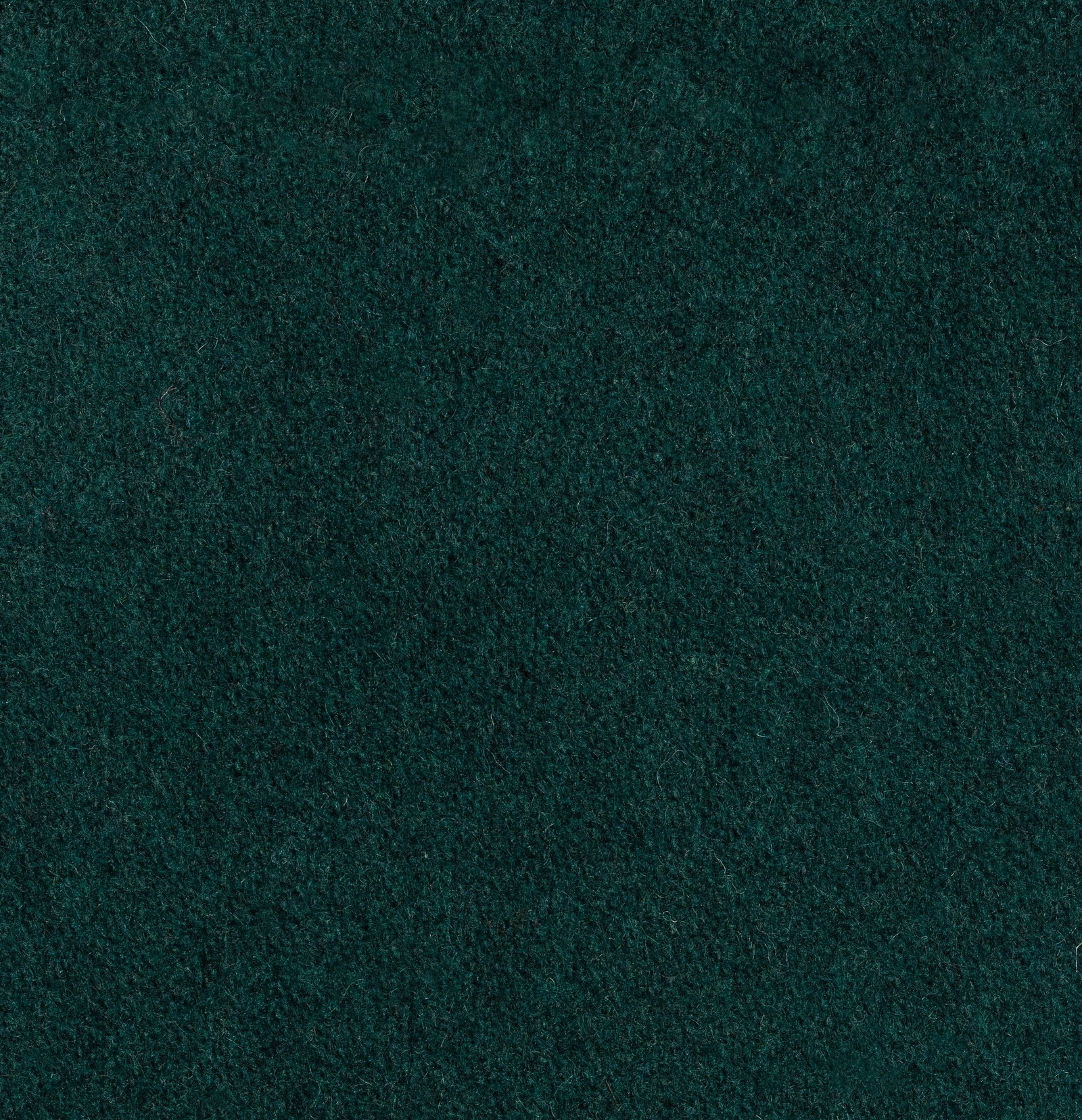 Vert forêt