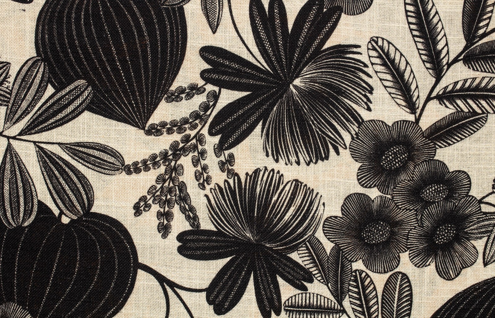 Orphée| Lin Linen