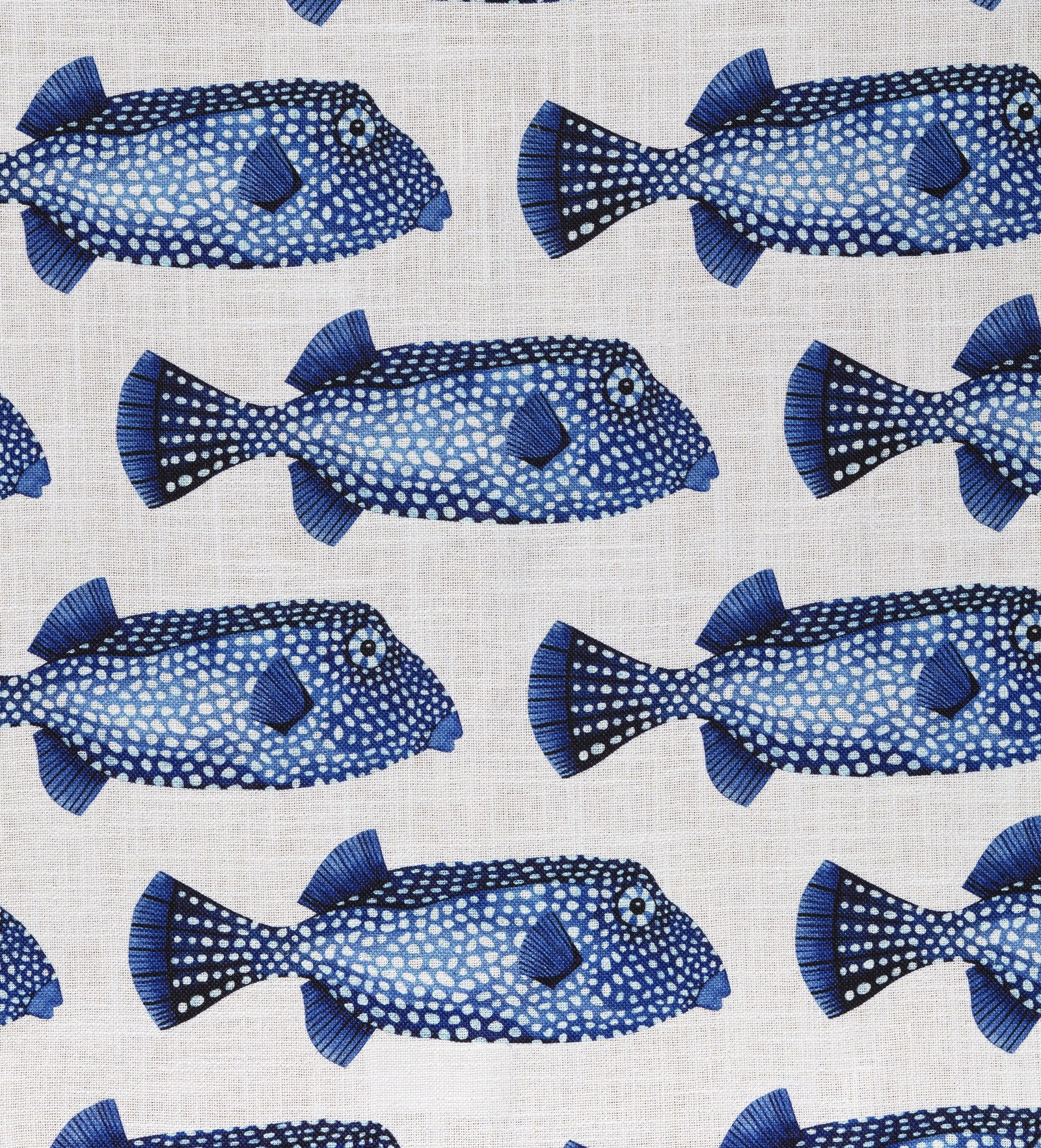 Poissons Coffre