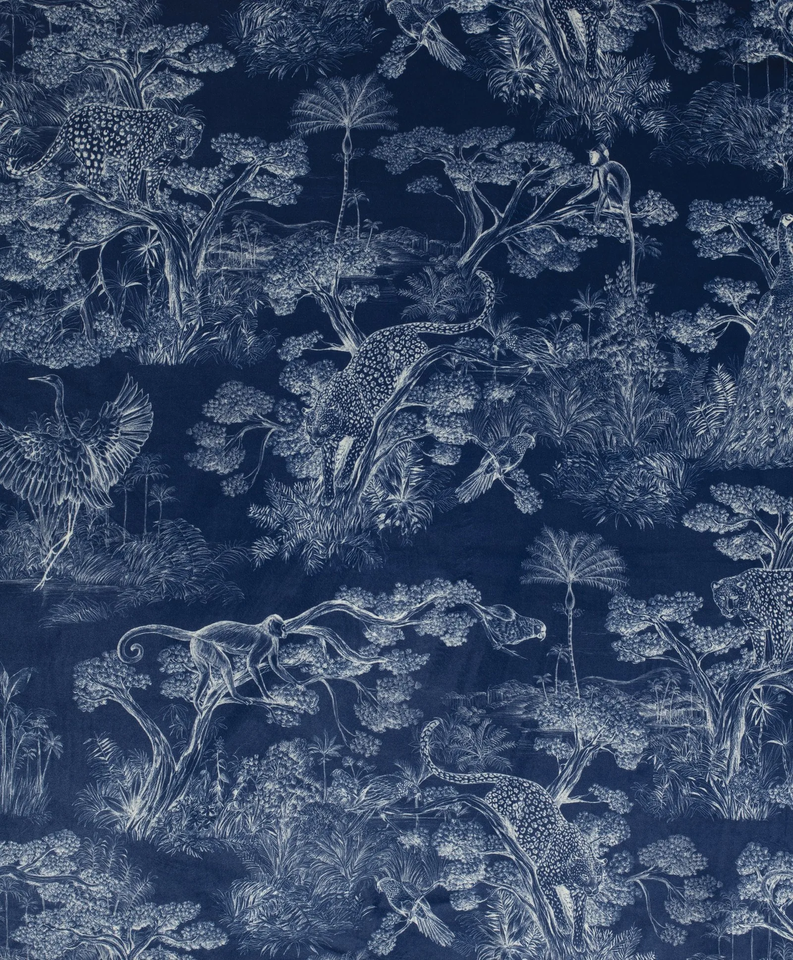 Animalia| Velours Velvet
