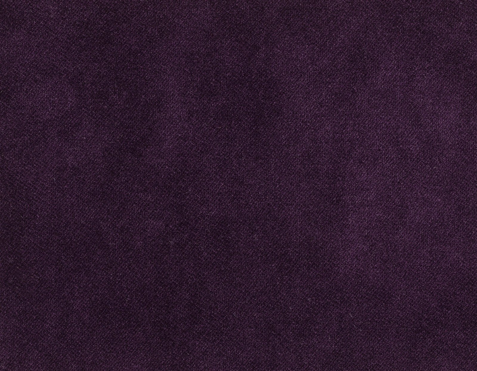 Aubergine