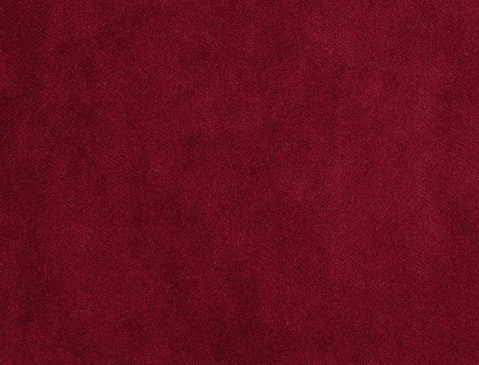 Plain Velvet Bordeaux