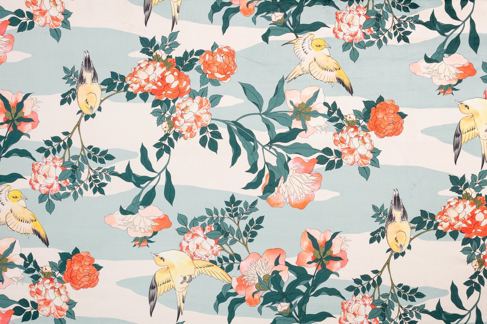 Obi| Velours Velvet