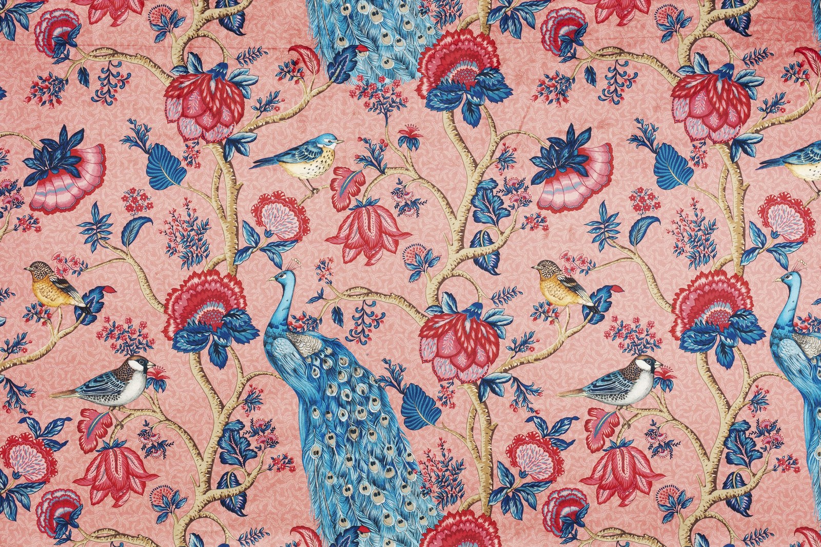 Alexandra| Velours Velvet