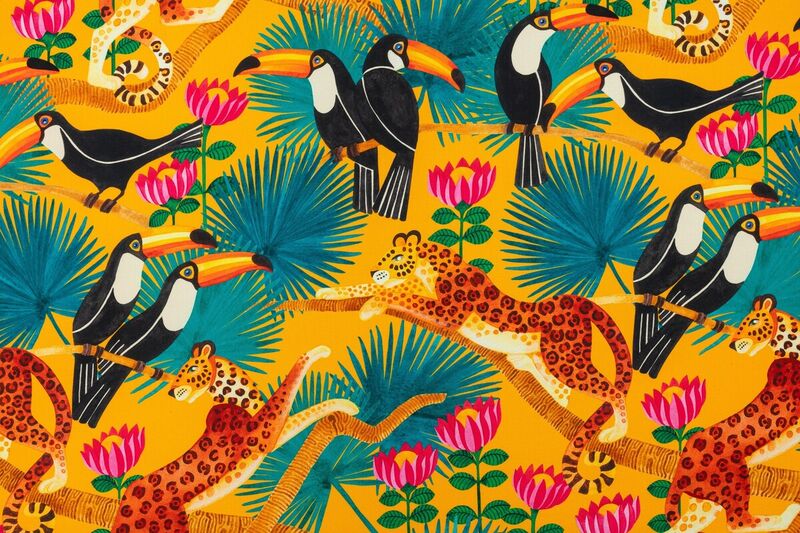 Toucans
