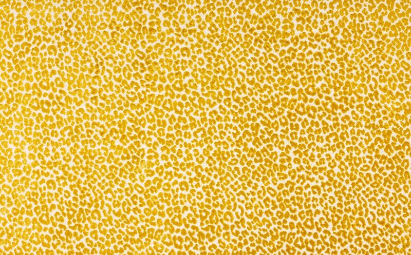 Bagheera Jacquard Jaune