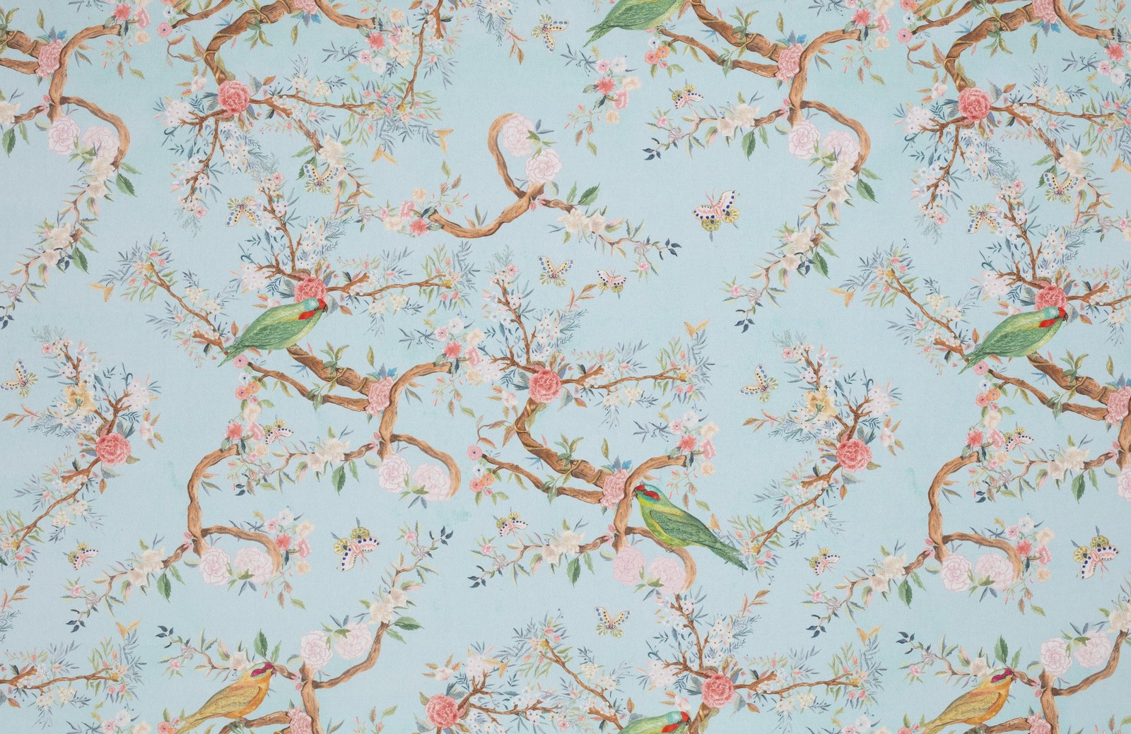 Birds