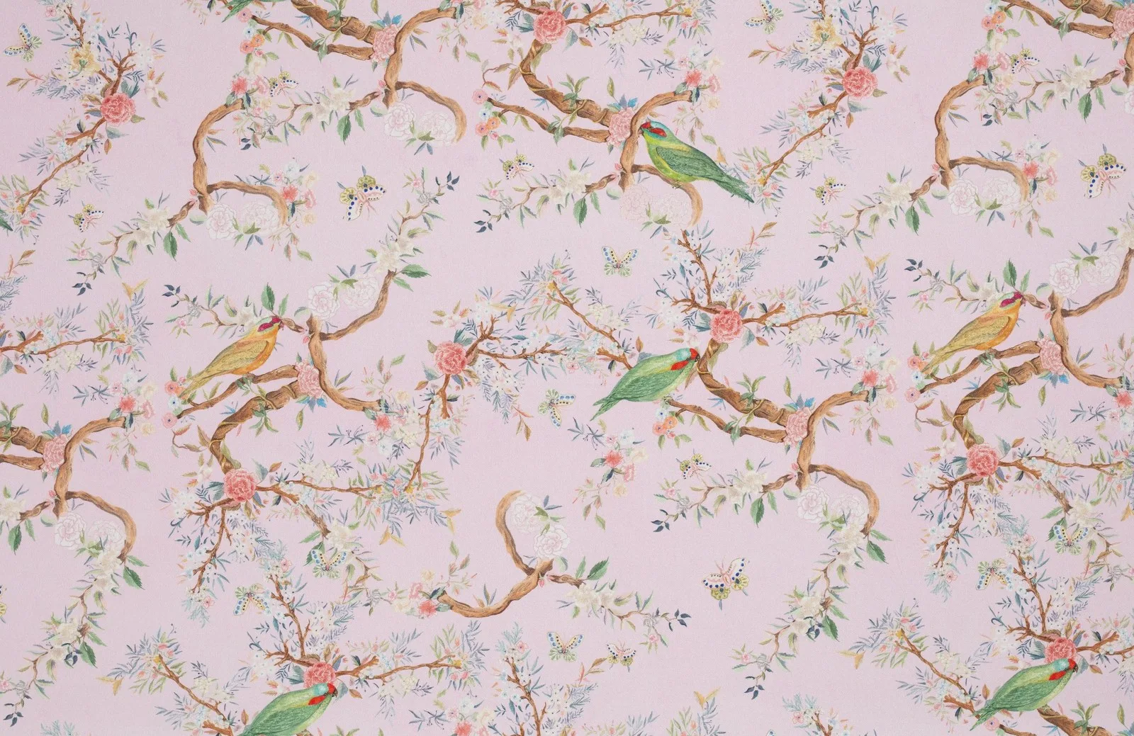 Birds