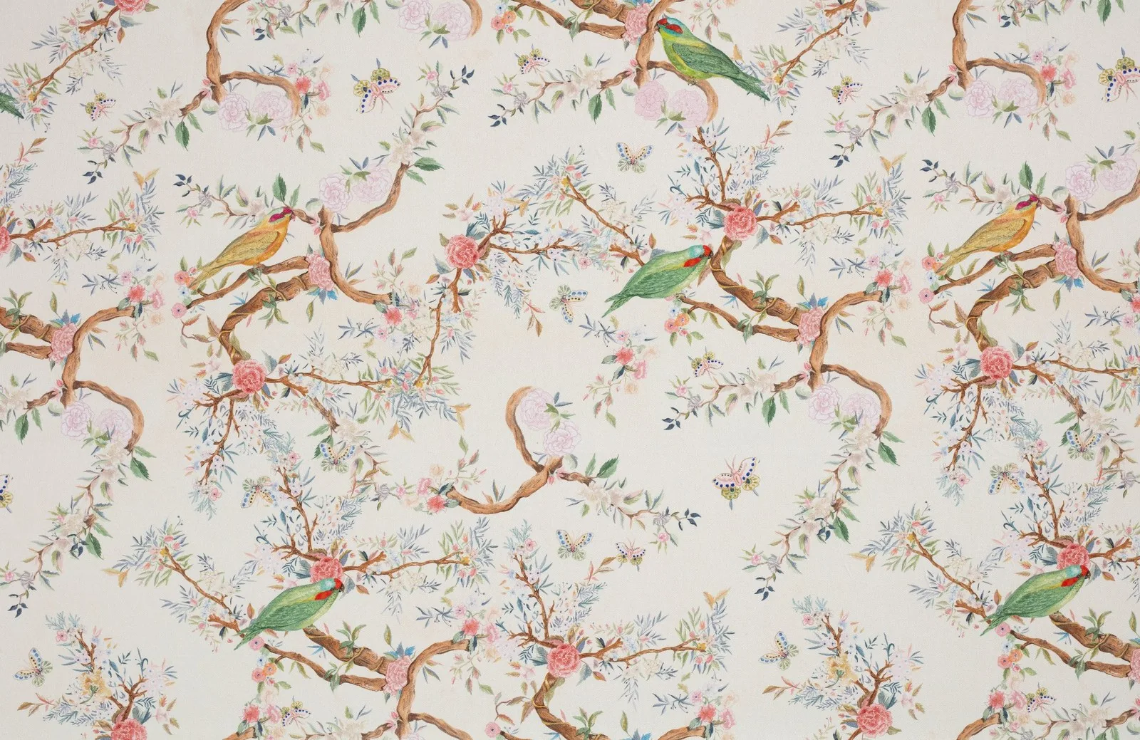 Birds