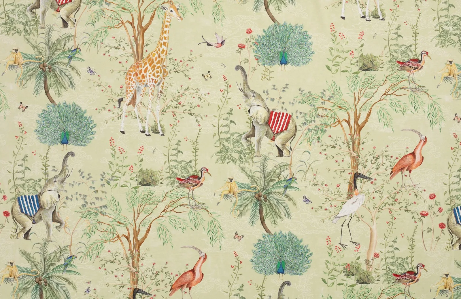 Animaux Exotiques| Satin
