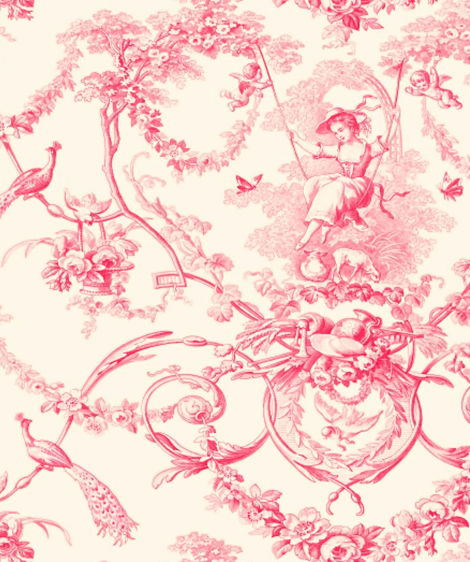 Rose fond crème