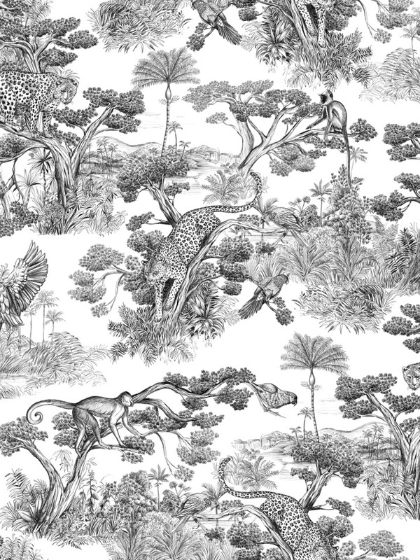Animalia Noir fond écru