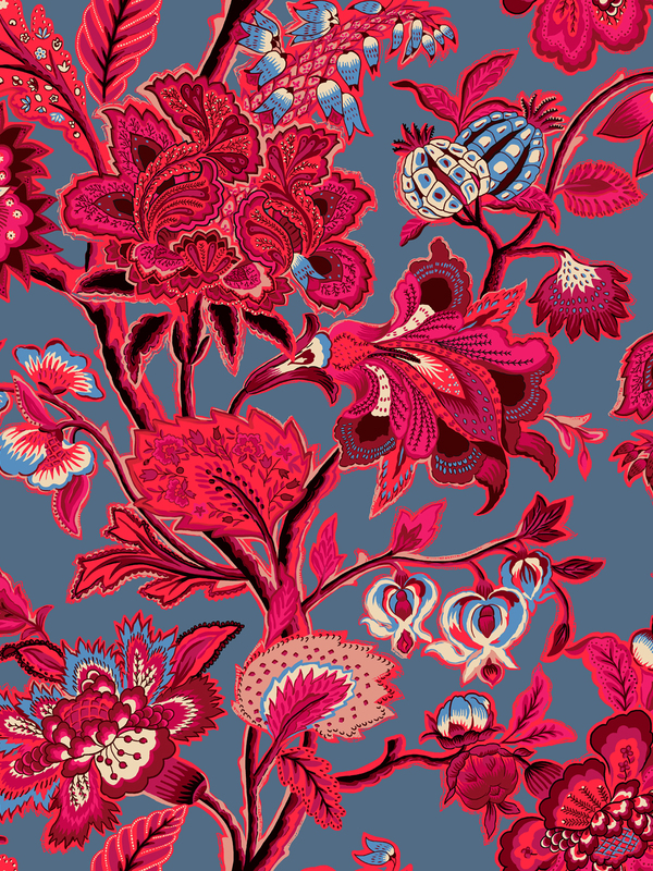 Framboise fond bleu gris